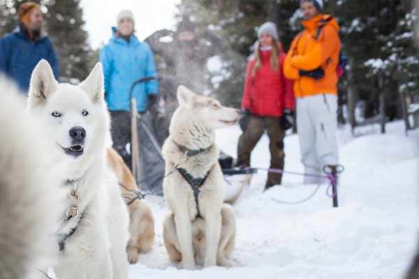 dog_sledding_great_divide_trail_2014_noel_hendrickson_1_horizontal