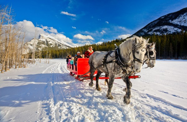 horse_sleigh_ride_banff_paul_zizka_3_horizontal