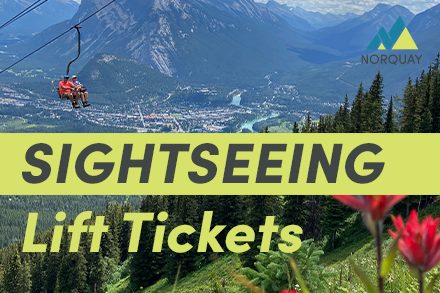 sightseeing-tickets-icon