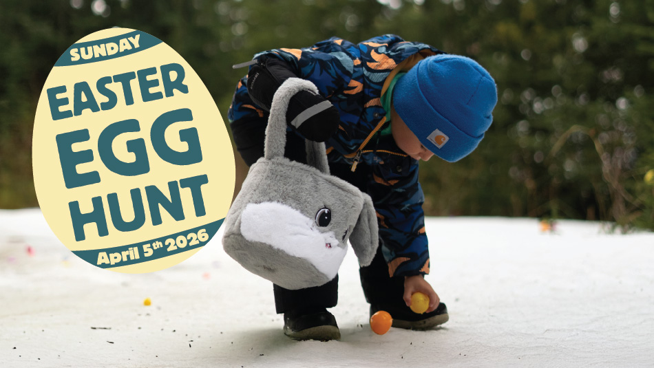 Event Landscape Image