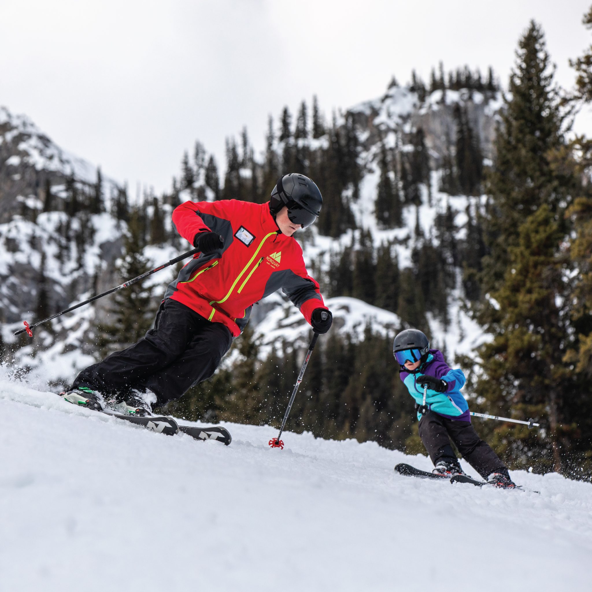 snow-school-tile snow-school-tile