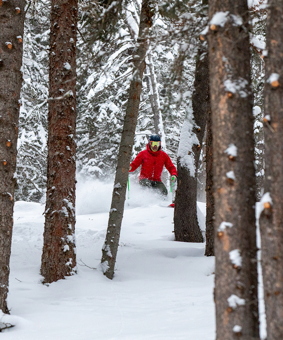 A skier in a red jacket safely navigates deep powder snow through Banffs forested glades.