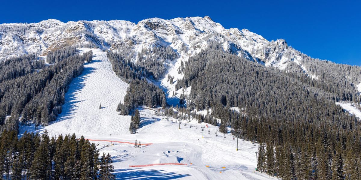 devans_2026-02-20_basearea_11