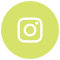 social_media_icons_green-ig